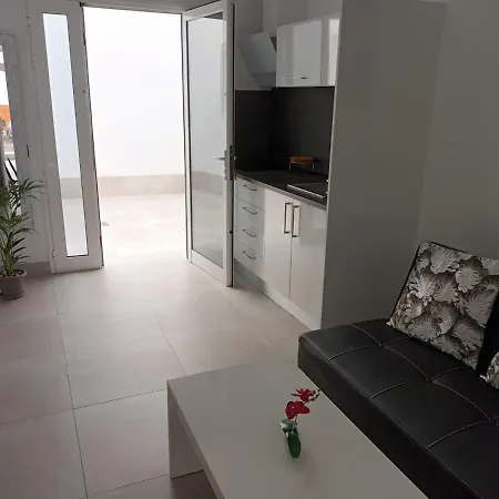 La Gaviota アレシフェ